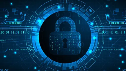 MicroAI Security